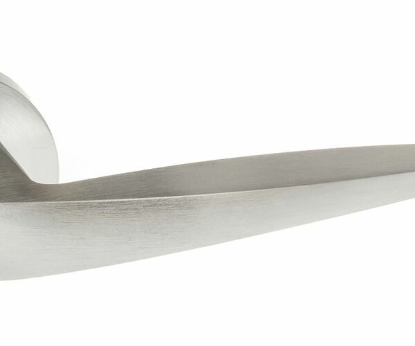 FMR272SC_FOGLIA_1200x500