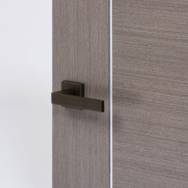FMS254UB_ASTI_ON_LIGHT_GREY_DOOR_WITH_SILVER_INLAY_RoomScene_HiRes