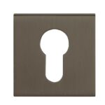 TESCESTT Euro Escutcheon - Titanium - Pair